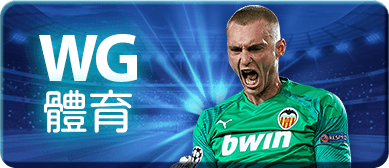 wg體育